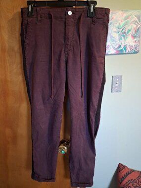 Paige Pants Christy Ribbon Side Stripe Size 29